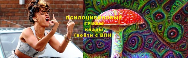 дмт Дегтярск